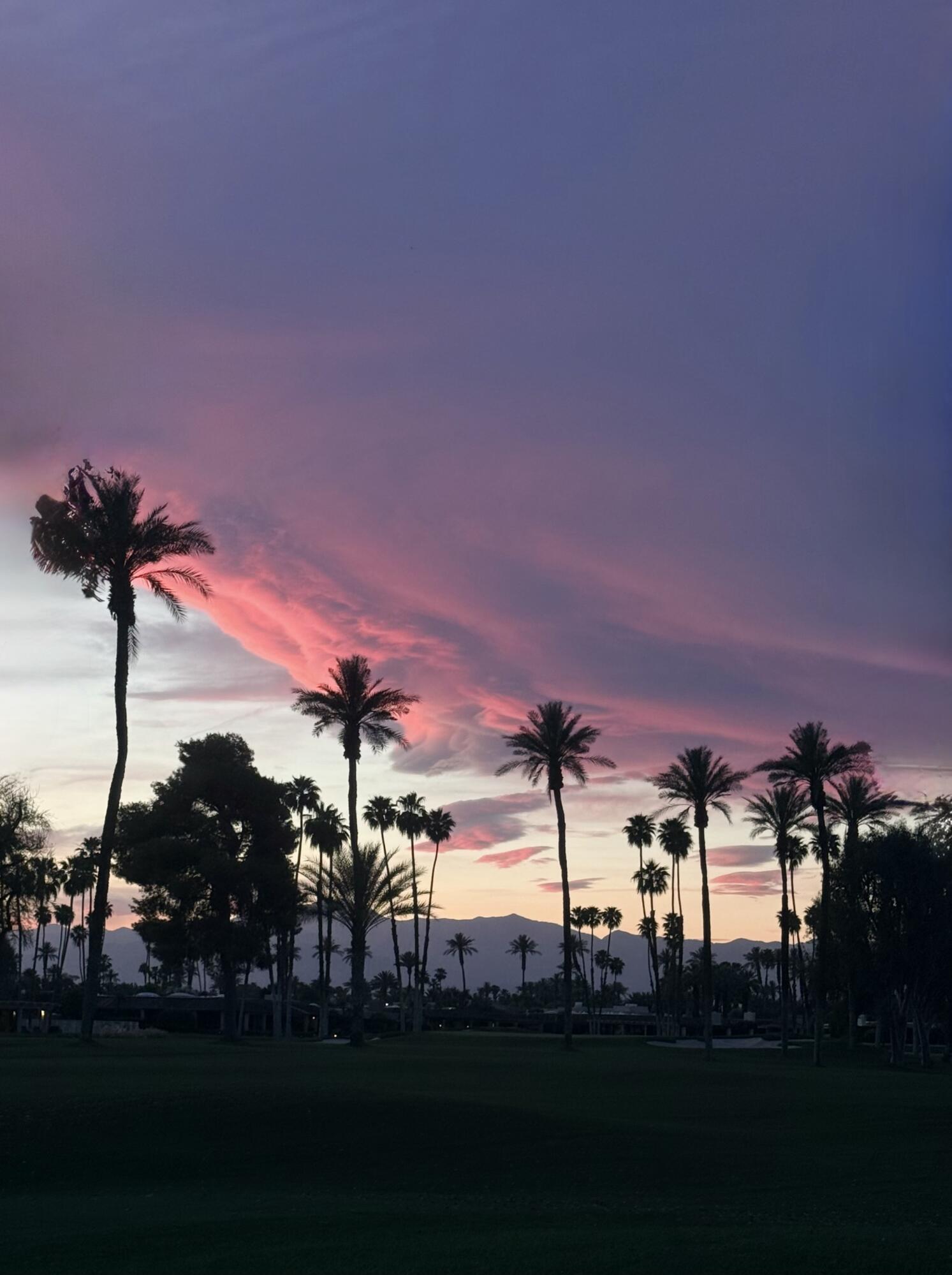 7 Tulane Court Rancho Mirage, CA 92270 - Photo 46 of 46 IMG_2053 (1)