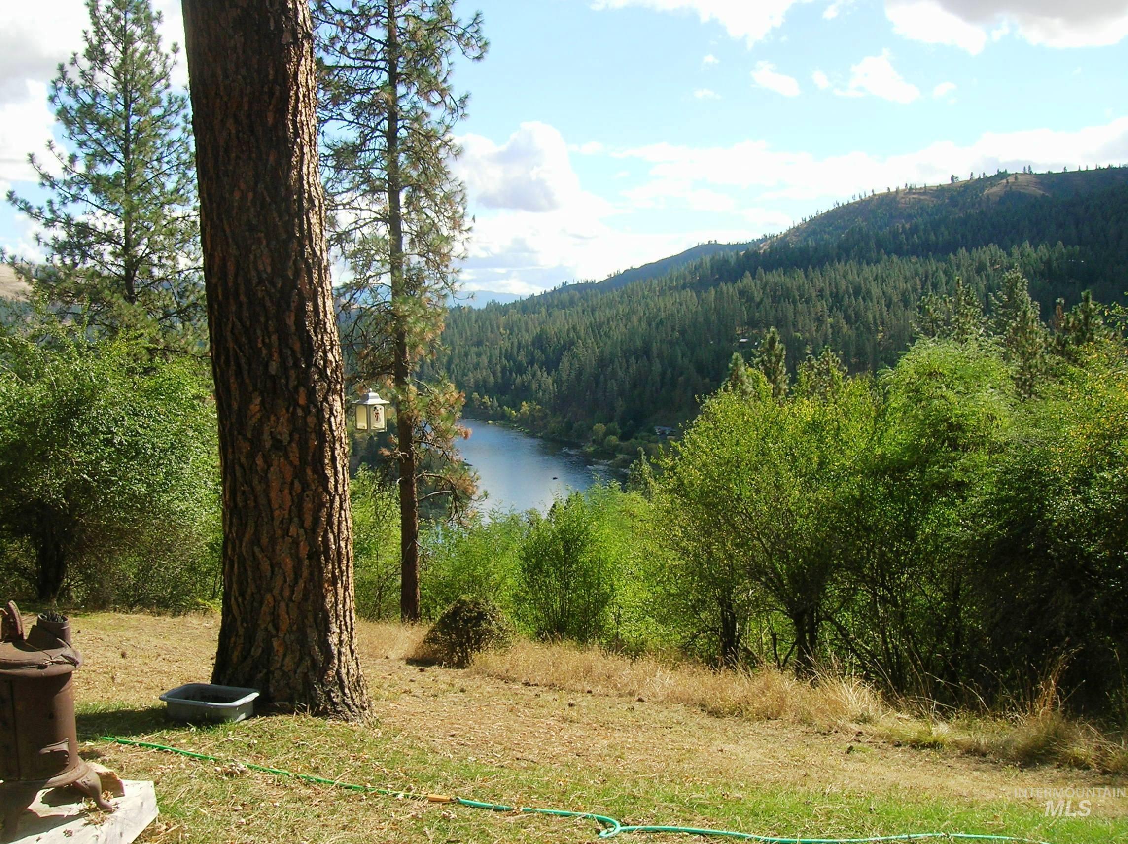 307 Locust Road Kamiah, ID 83536 - Photo 47 of 50 Sloping landscape with mature trees and native flora overlooking a body of water
