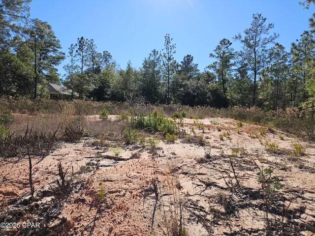 $24,900 | 2245 Shenandoah Boulevard, Chipley, FL 32428