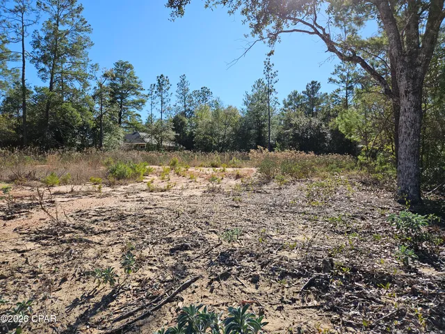 $24,900 | 2245 Shenandoah Boulevard, Chipley, FL 32428