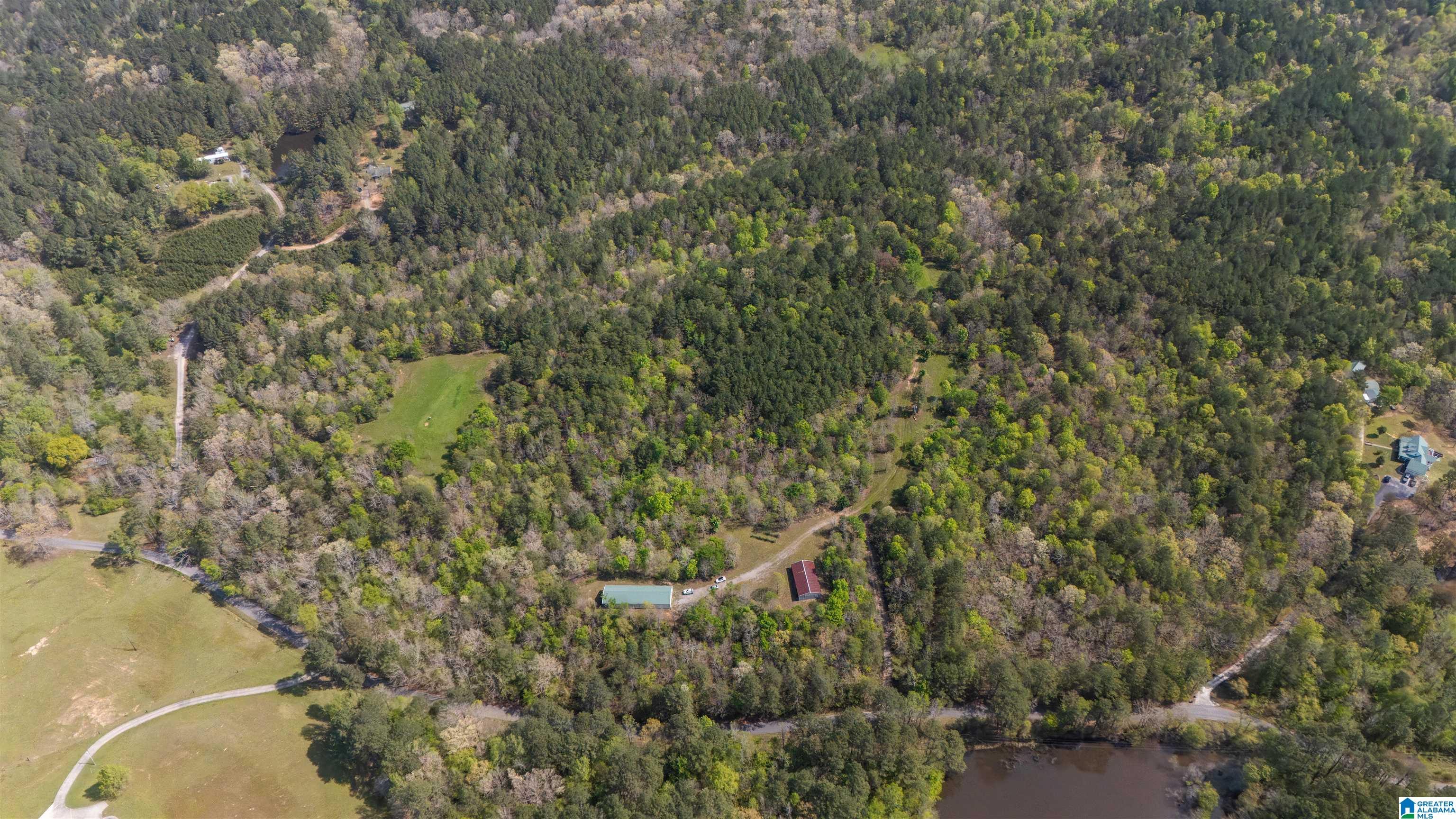 2121 Center Hill Road Trafford, AL 35172 - Photo 52 of 100