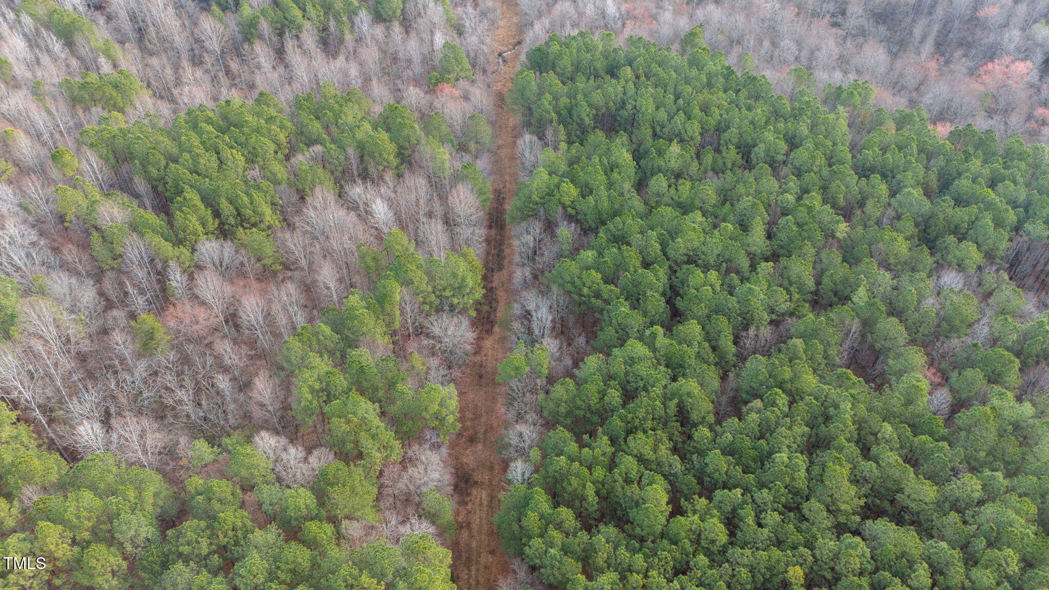 6621 Nicks Road Mebane, NC 27302 - Photo 4 of 5 a view of a forest with a tree
