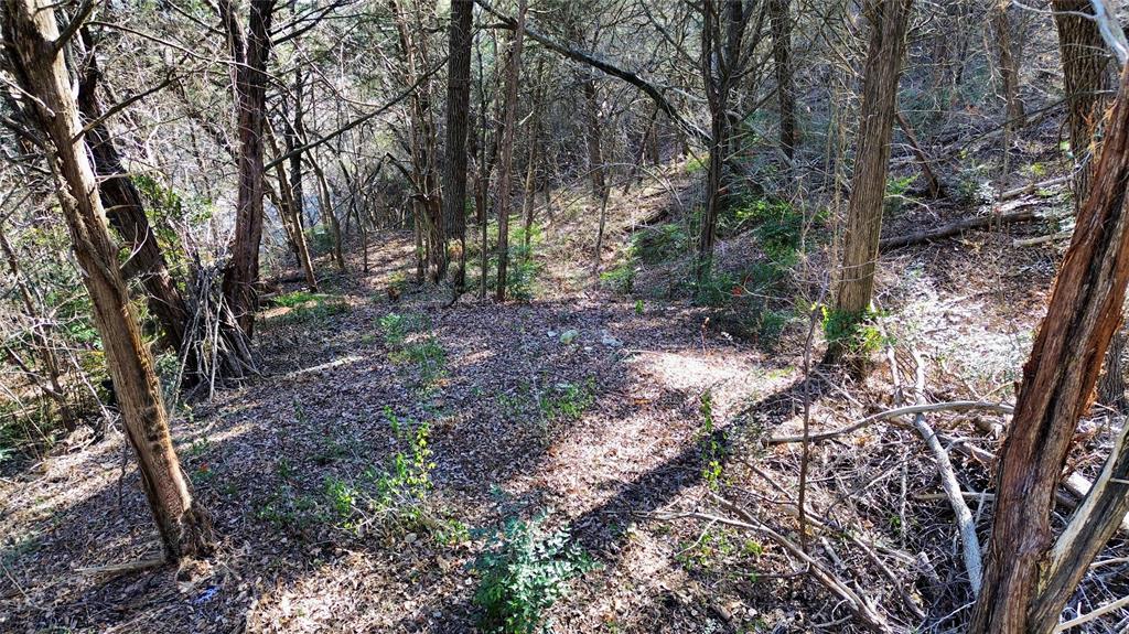 1917 Juniper Ridge Road Cedar Hill, TX 75104 - Photo 12 of 23 a view of a forest with trees