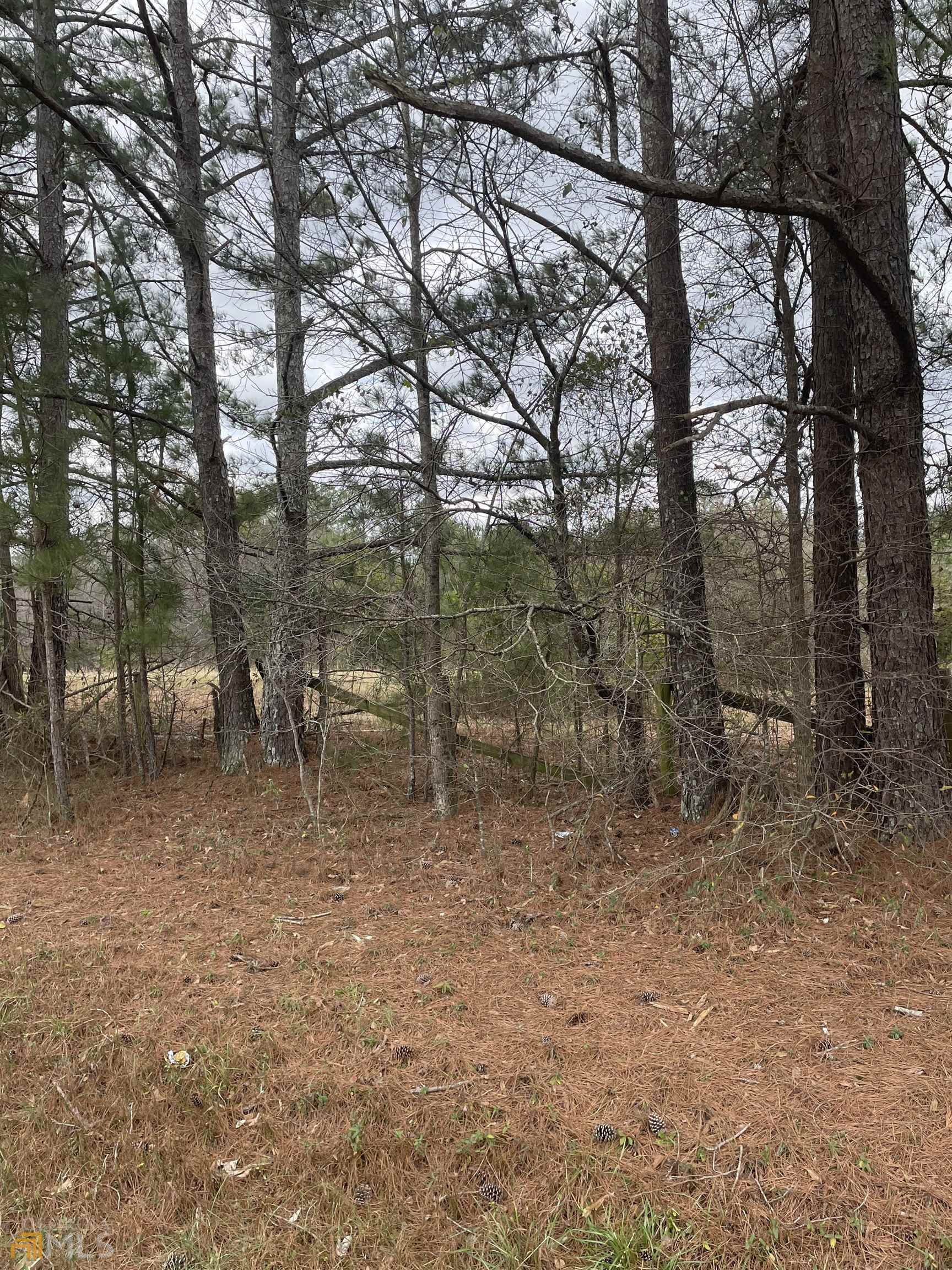 10990 Post Road Shady Dale, GA 31085 - Photo 1 of 1 a view of a yard with a tree