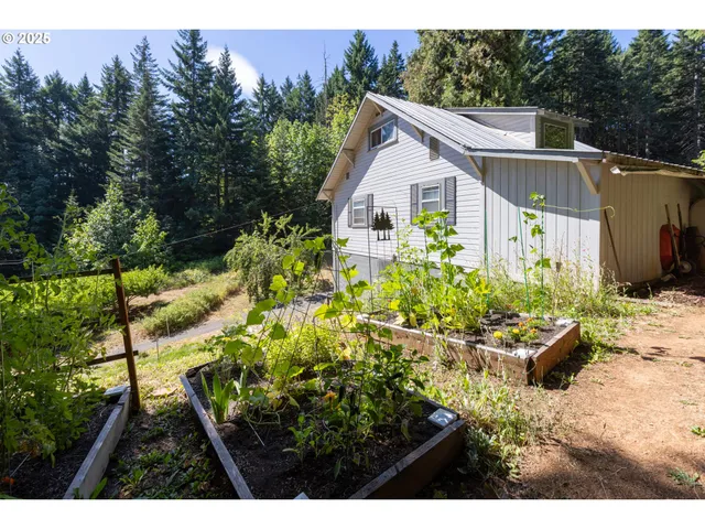 a view of a back yard of the house
