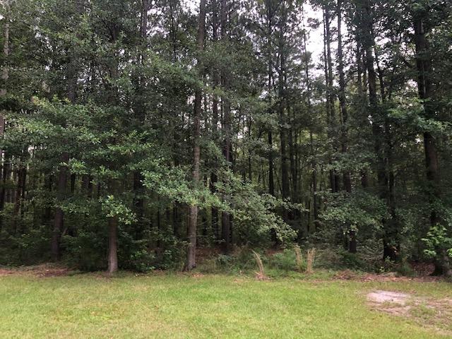 17170 Low Country Highway Ruffin, SC 29475 - Photo 17 of 19 Lowcountry 6