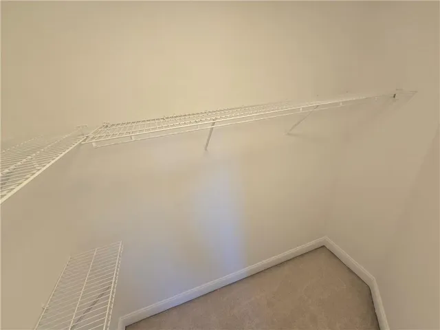 a tree in the middle of a yard