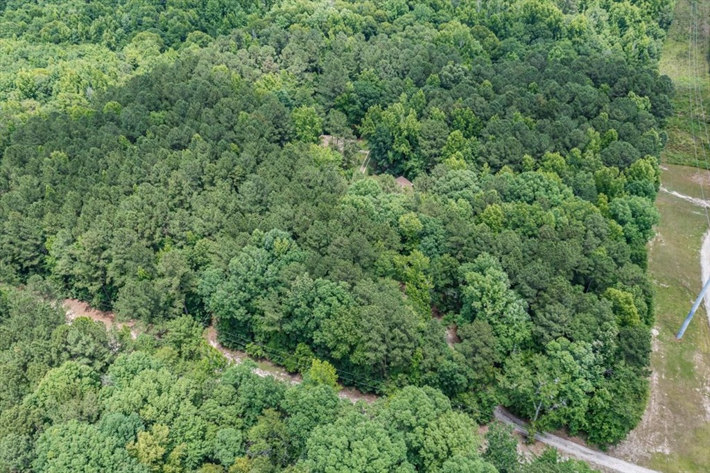 1151 Reynolds Farm Road Grovetown, GA 30813 - Photo 5 of 37 Wooded for privacy