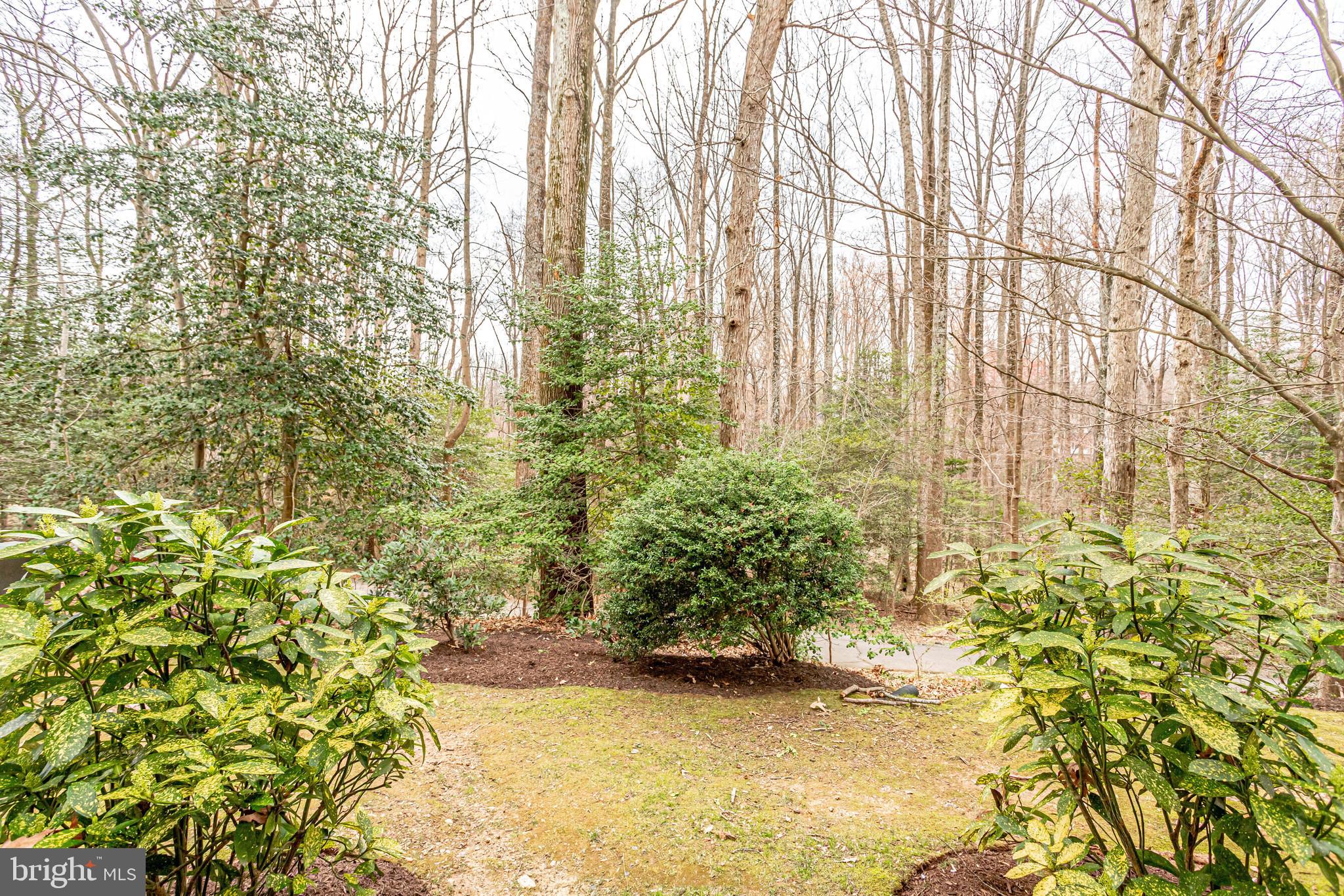 2229 Lovedale Lane, Unit 305B Reston, VA 20191 - Photo 13 of 15 Gallery Image 13