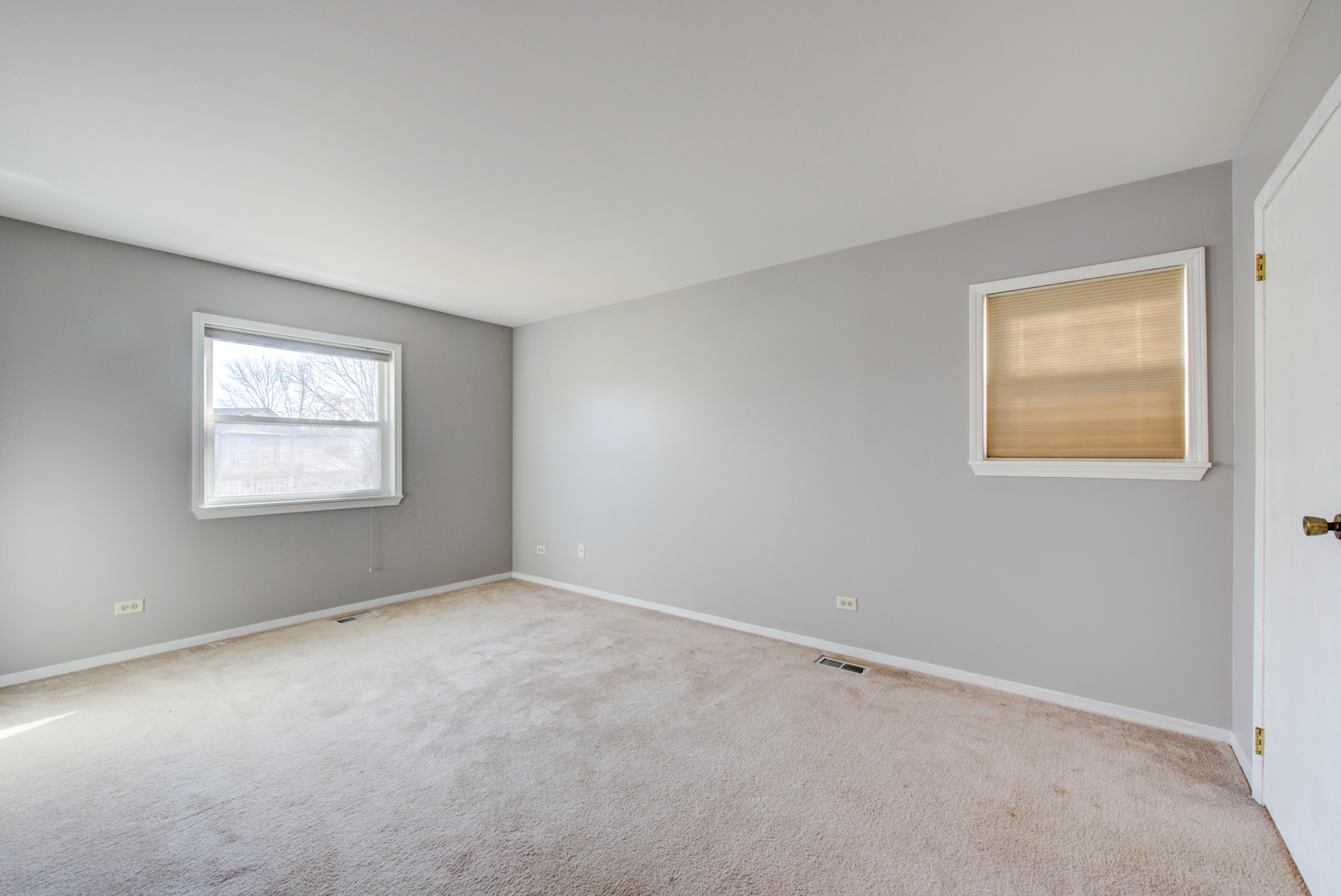 1421 Carleton Circle Naperville, IL 60565 - Photo 17 of 41