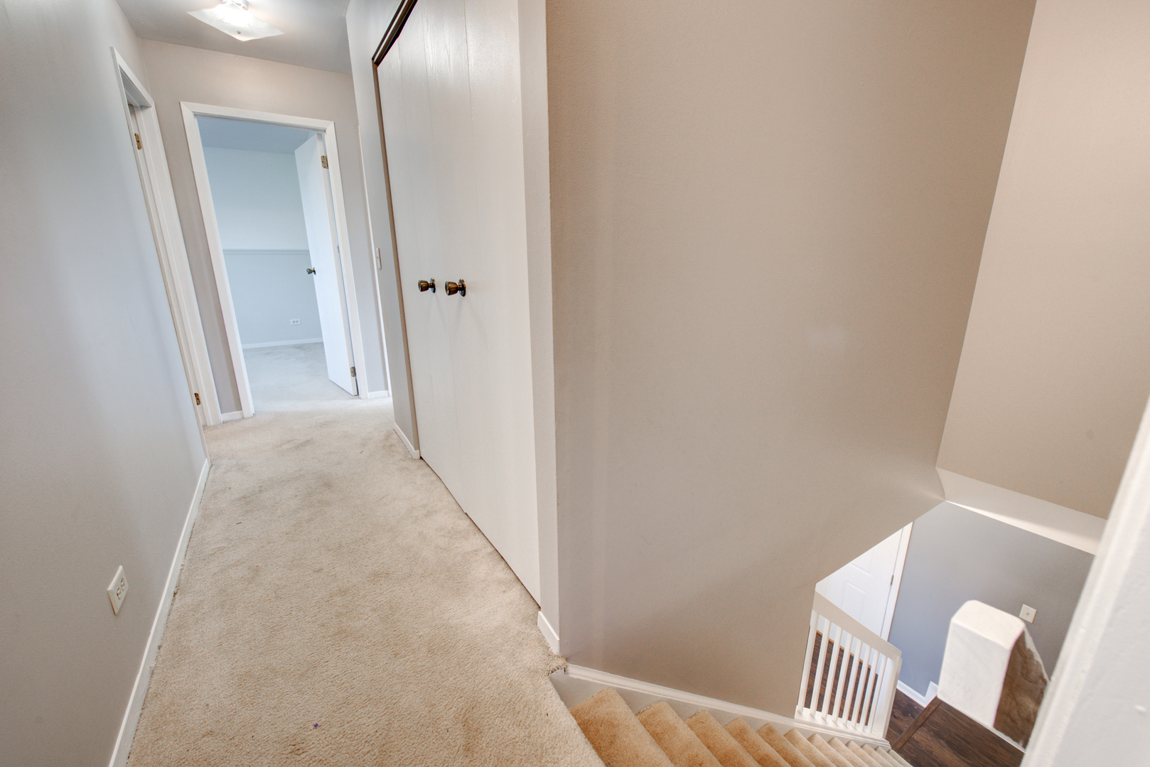 1421 Carleton Circle Naperville, IL 60565 - Photo 20 of 41
