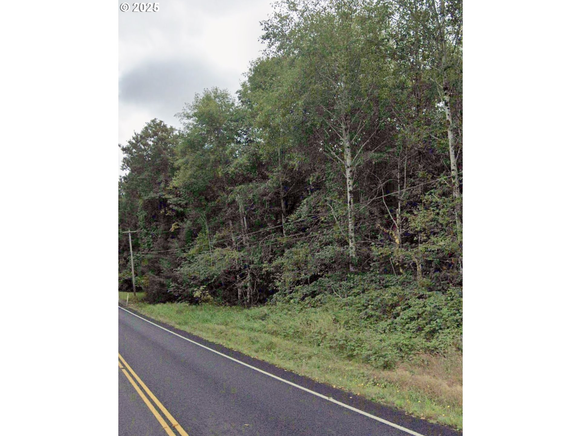 0 Hillcrest Loop Astoria, OR 97103 - Photo 4 of 4 a view of a yard from a window
