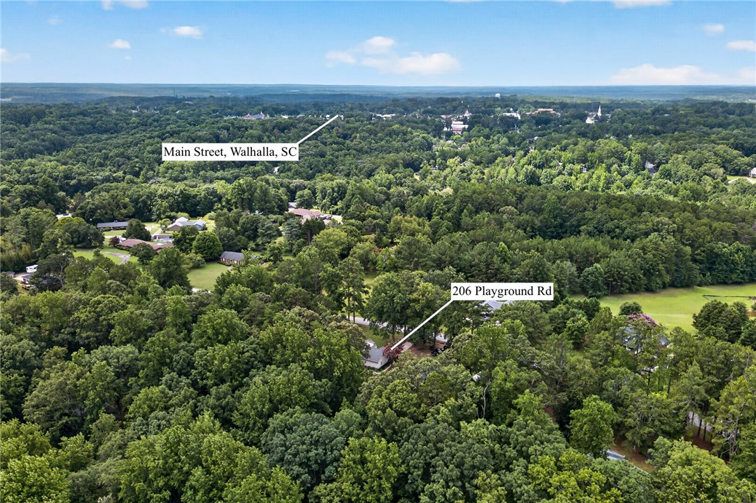 206 Playground Road Walhalla, SC 29691 - Photo 4 of 42
