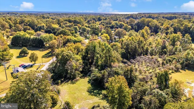 a view of lake from under an umbrella