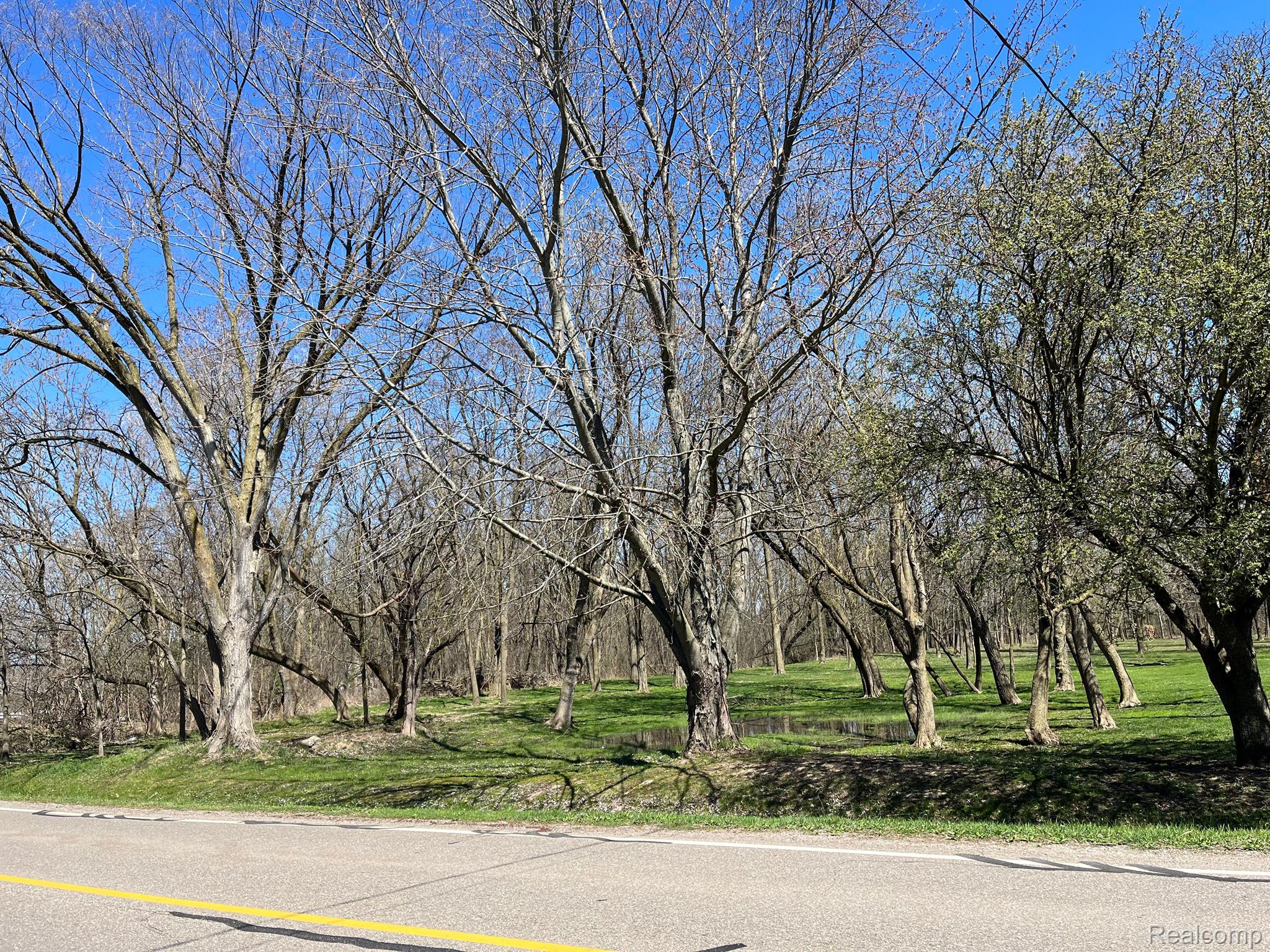 0 Wakefield Road Grand Blanc, MI 48439 - Photo 1 of 3 Slightly rolling and wooded beautiful to develop.