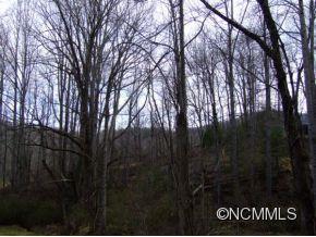 78 Ball Gap Road Arden, NC 28704 - Photo 2 of 4 Gallery Image 2