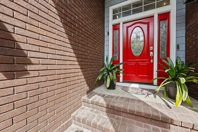 a potted plant sitting on a wooden floor
