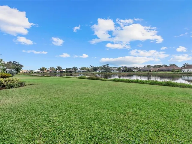 a view of a big yard with plants and large trees