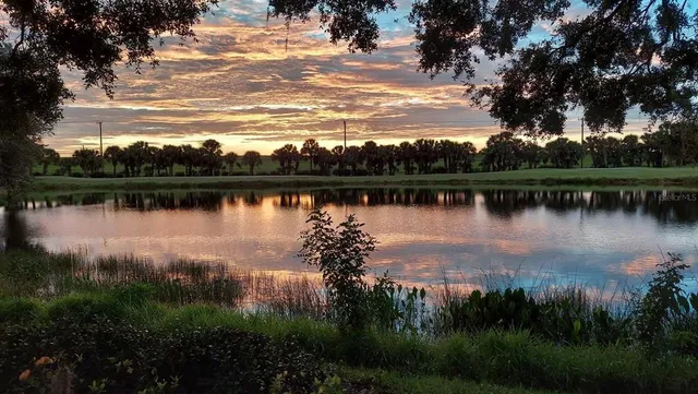a living room with furniture a wooden floor and floor to ceiling windows