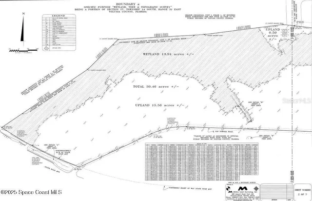 a black and white photo of a