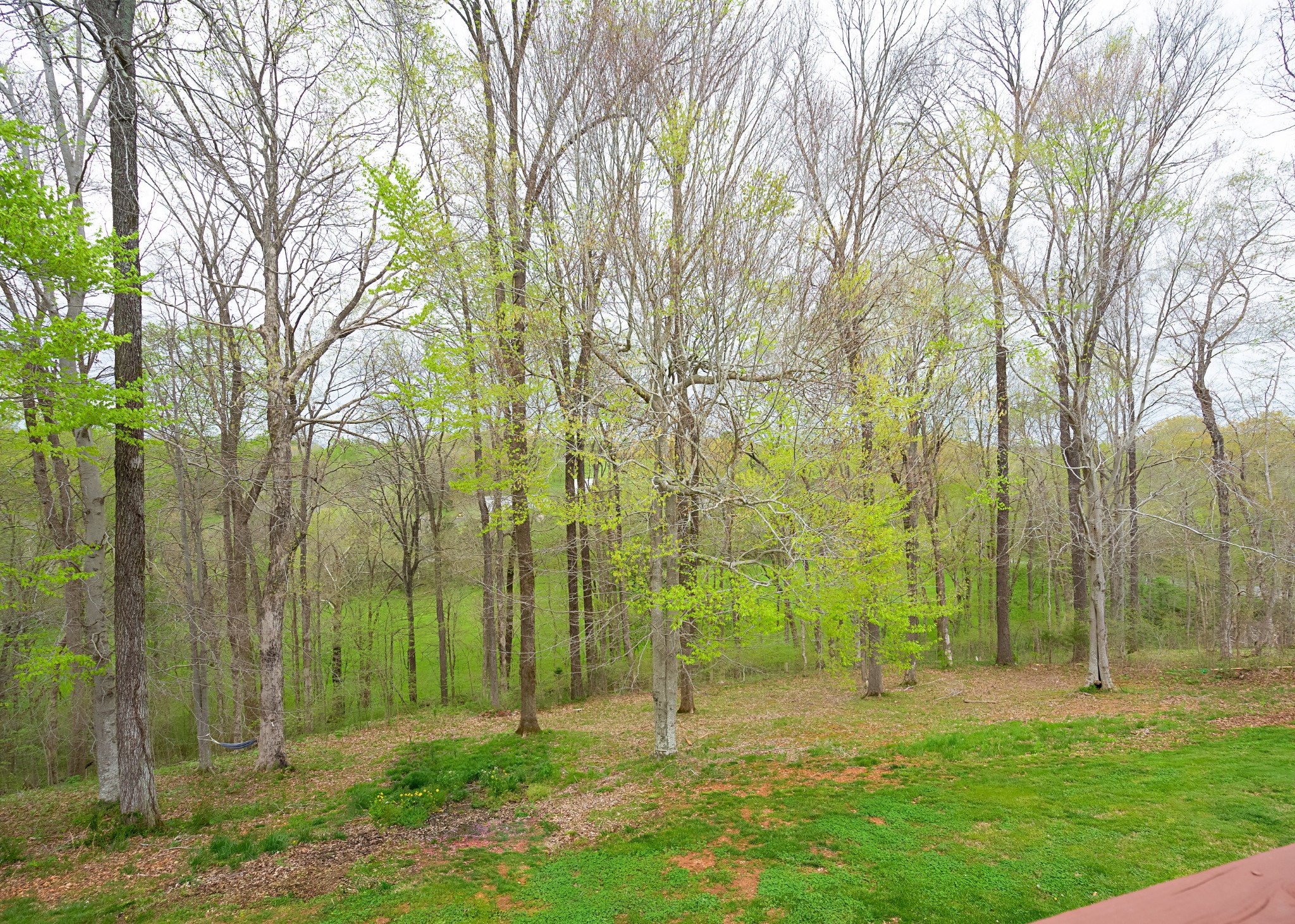 2989 Surrey Ridge Road Clarksville, TN 37043 - Photo 9 of 32 Gallery Image 9