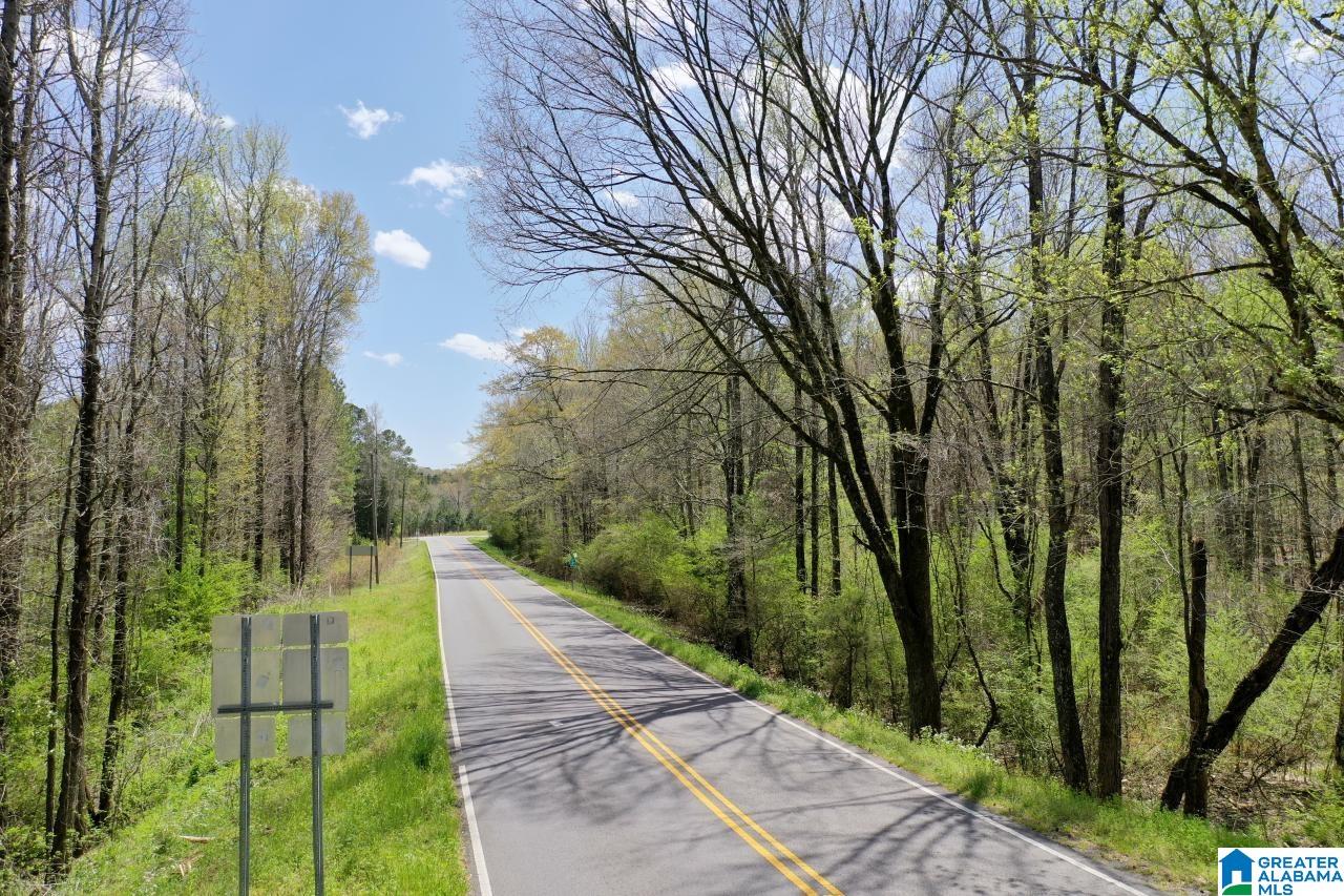 0 County Road 15 Locust Fork, AL 35097 - Photo 1 of 14