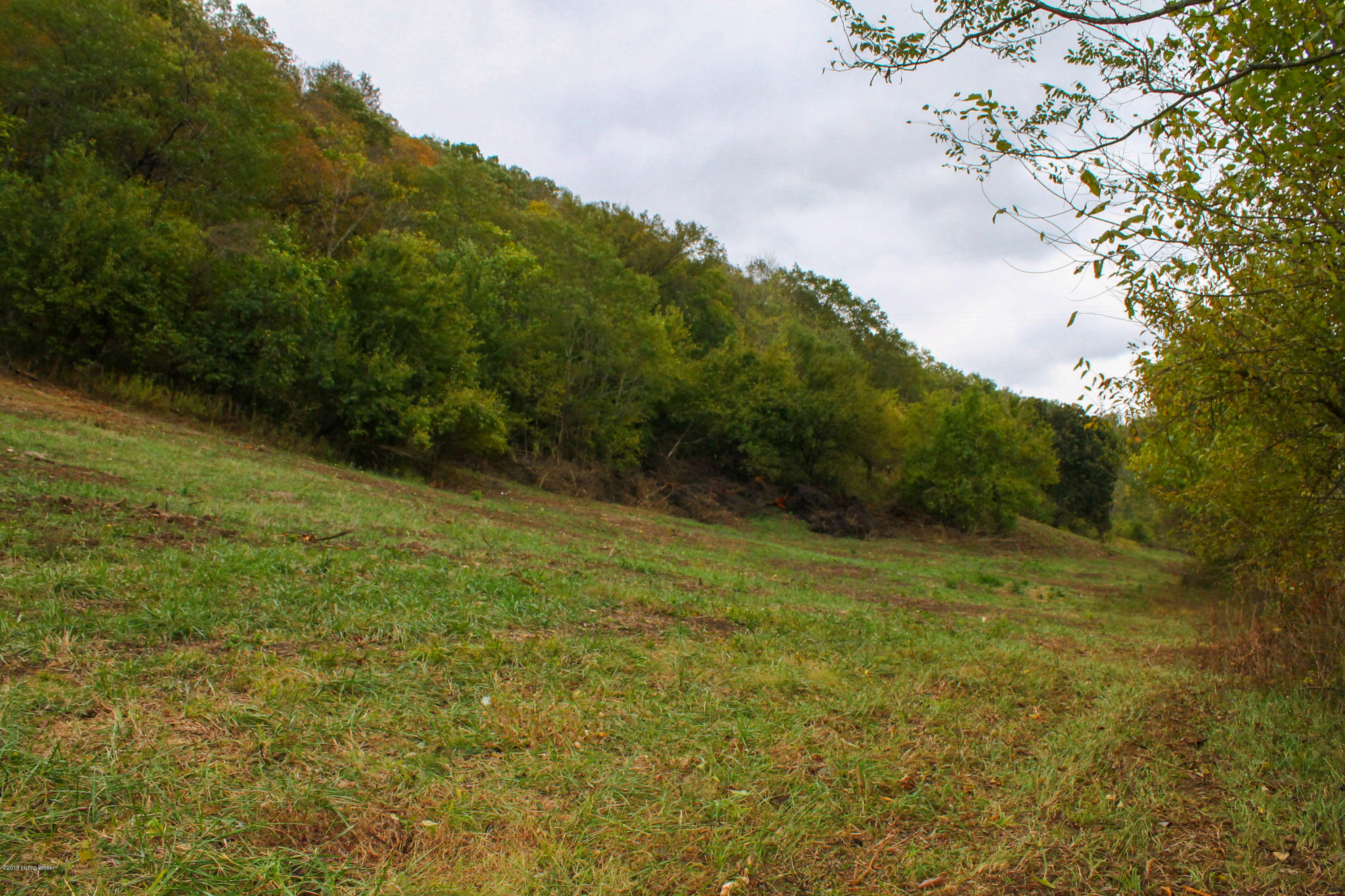 0 Carlisle Road Carrollton, KY 41008 - Photo 1 of 3 IMG_7448