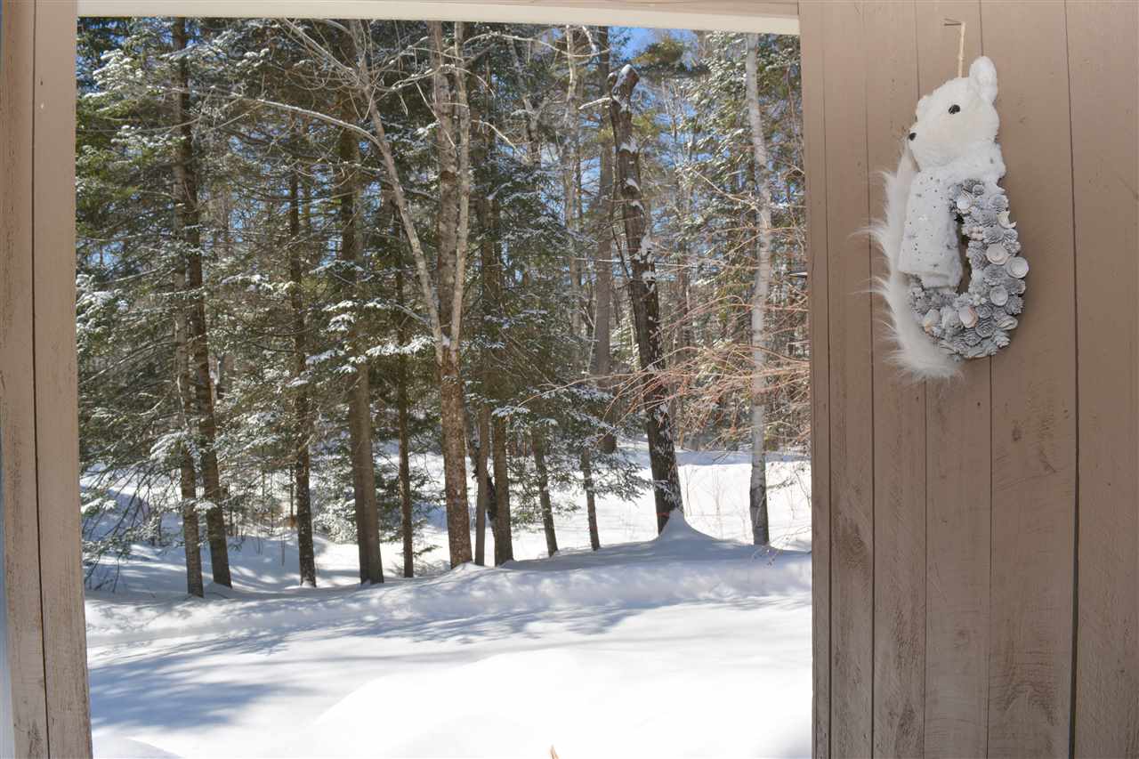 6 Butternut Road Grantham, NH 03753 - Photo 35 of 39 Gallery Image 35