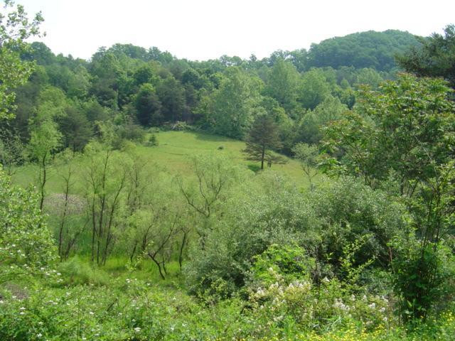 9999 Old Corbin Road London, KY 40744 - Photo 49 of 53 Photo 49