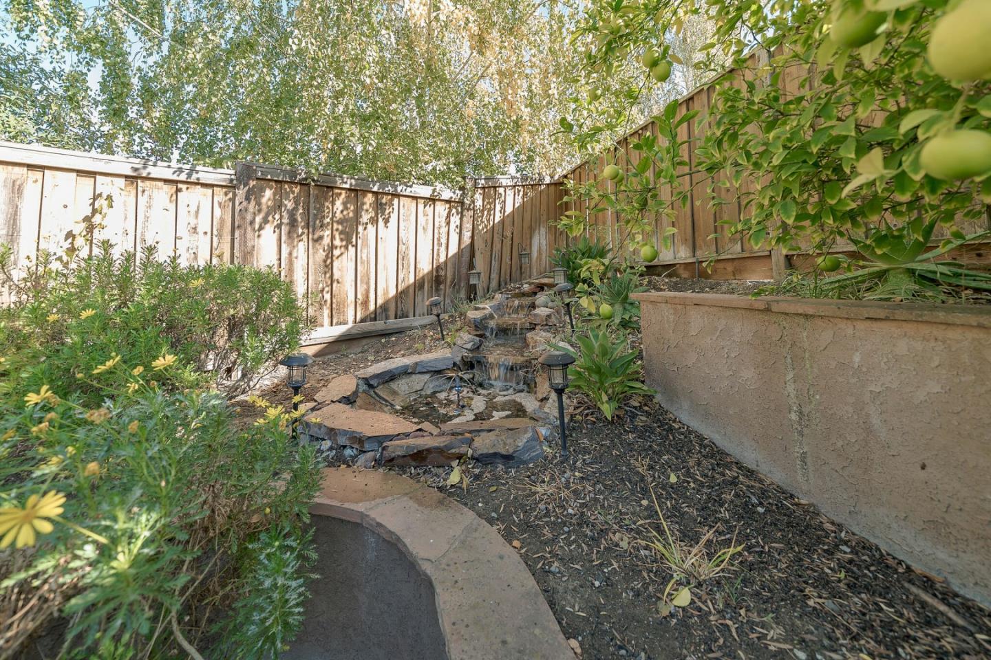 3830 Highbury Way San Ramon, CA 94582 - Photo 33 of 38 a view of a yard with large trees
