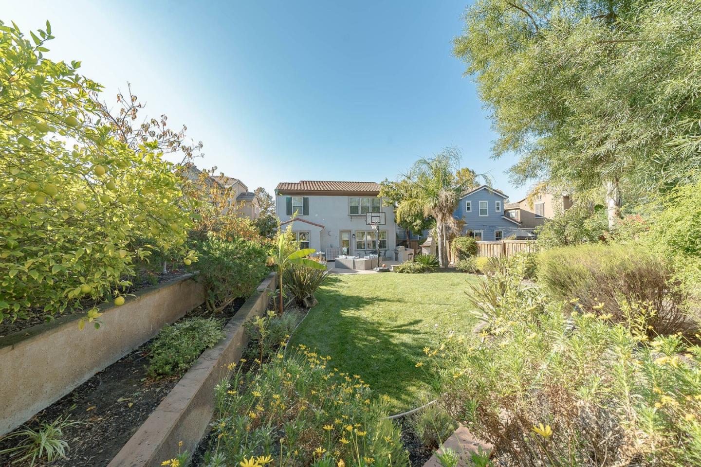 3830 Highbury Way San Ramon, CA 94582 - Photo 34 of 38 a view of a big yard of a house