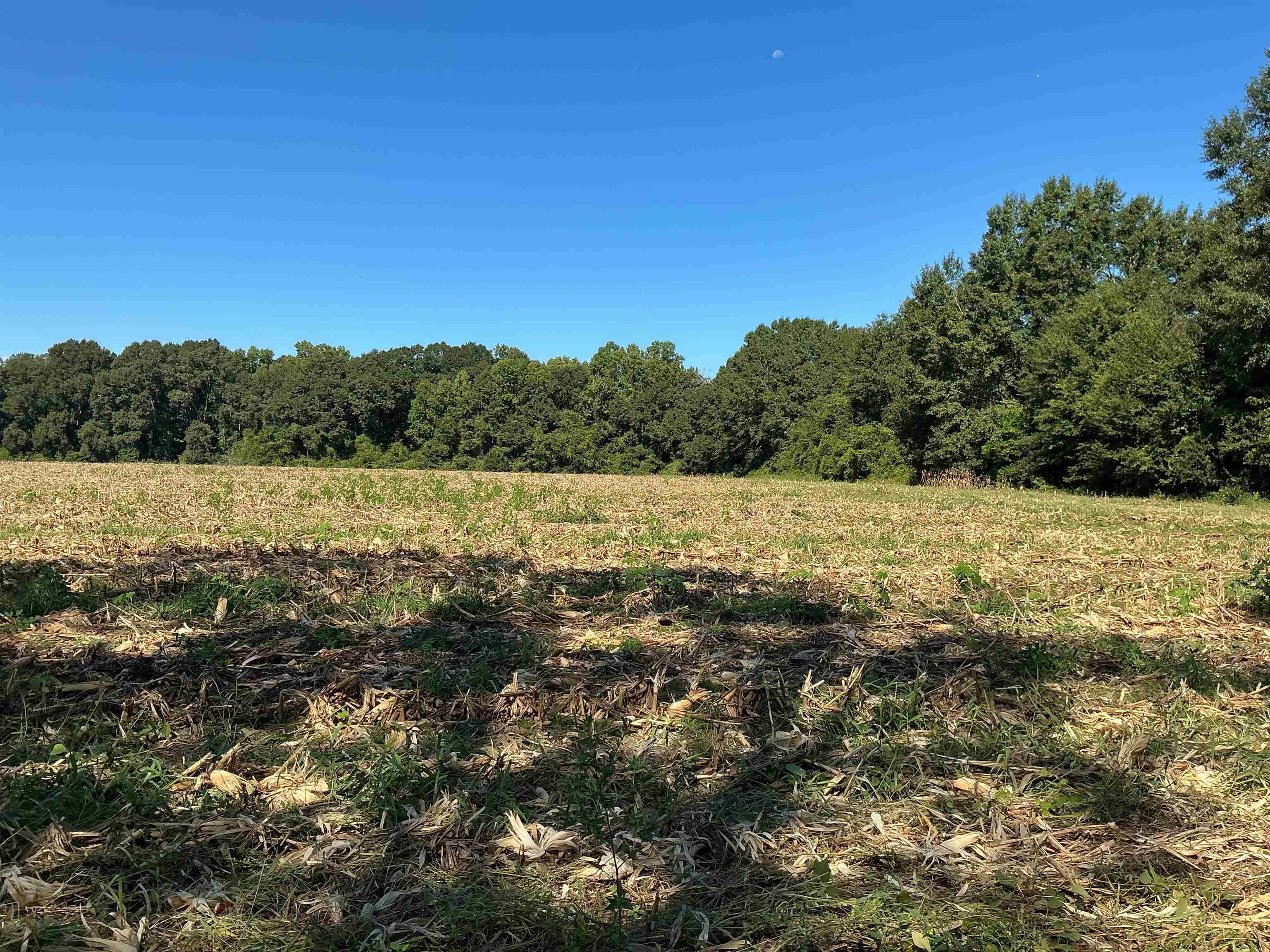 545 Shady Grove Road Andalusia, AL 36421 - Photo 1 of 16 Gallery Image 1