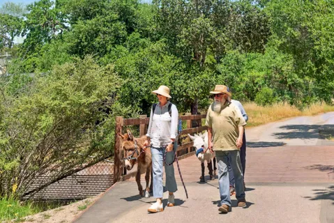 $2,488,000 | 750 Los Robles Avenue, Palo Alto, CA 94306