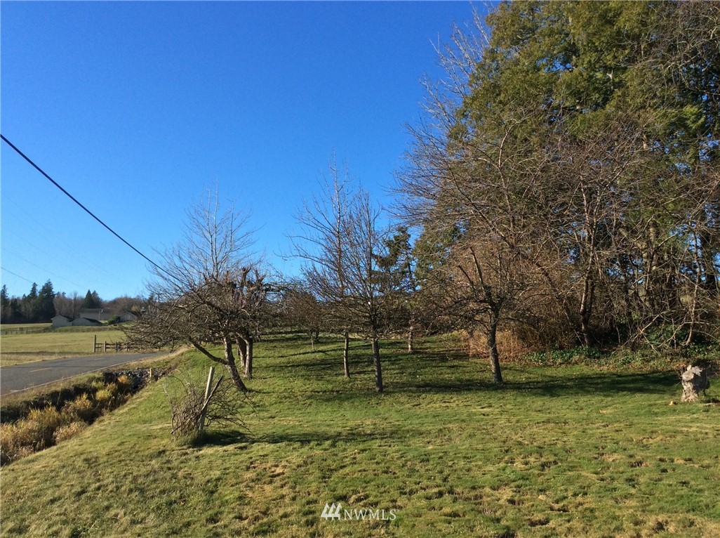 2586 Douglas Road Ferndale, WA 98248 - Photo 14 of 24