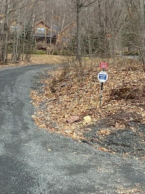 219 Bailey Road Jewett, NY 12444 - Photo 2 of 5 a view of road and trees