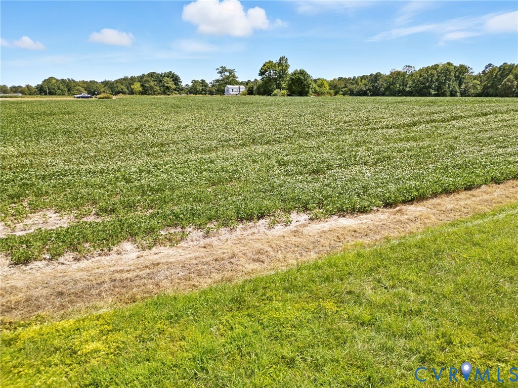 13447 Independence Road Ashland, VA 23005 - Photo 16 of 21 Gallery Image 16