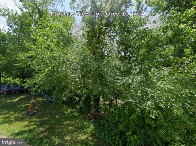 a view of a pathway both side of yard