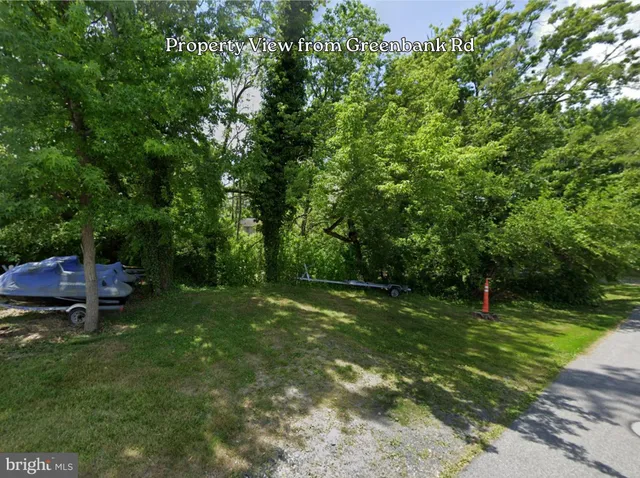 a view of a lush green forest
