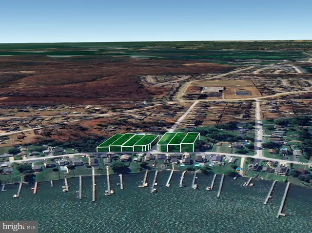 a green field with lots of trees