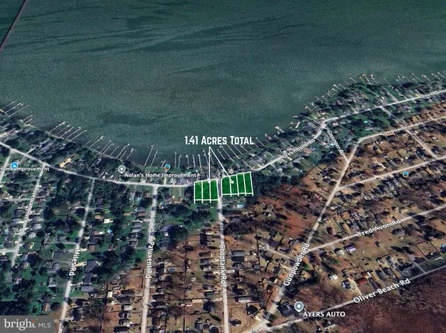 a street sign that is on a tree