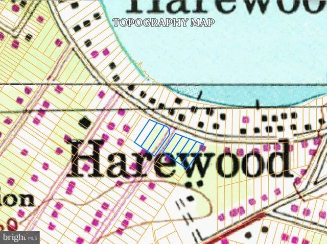 a green field with lots of trees