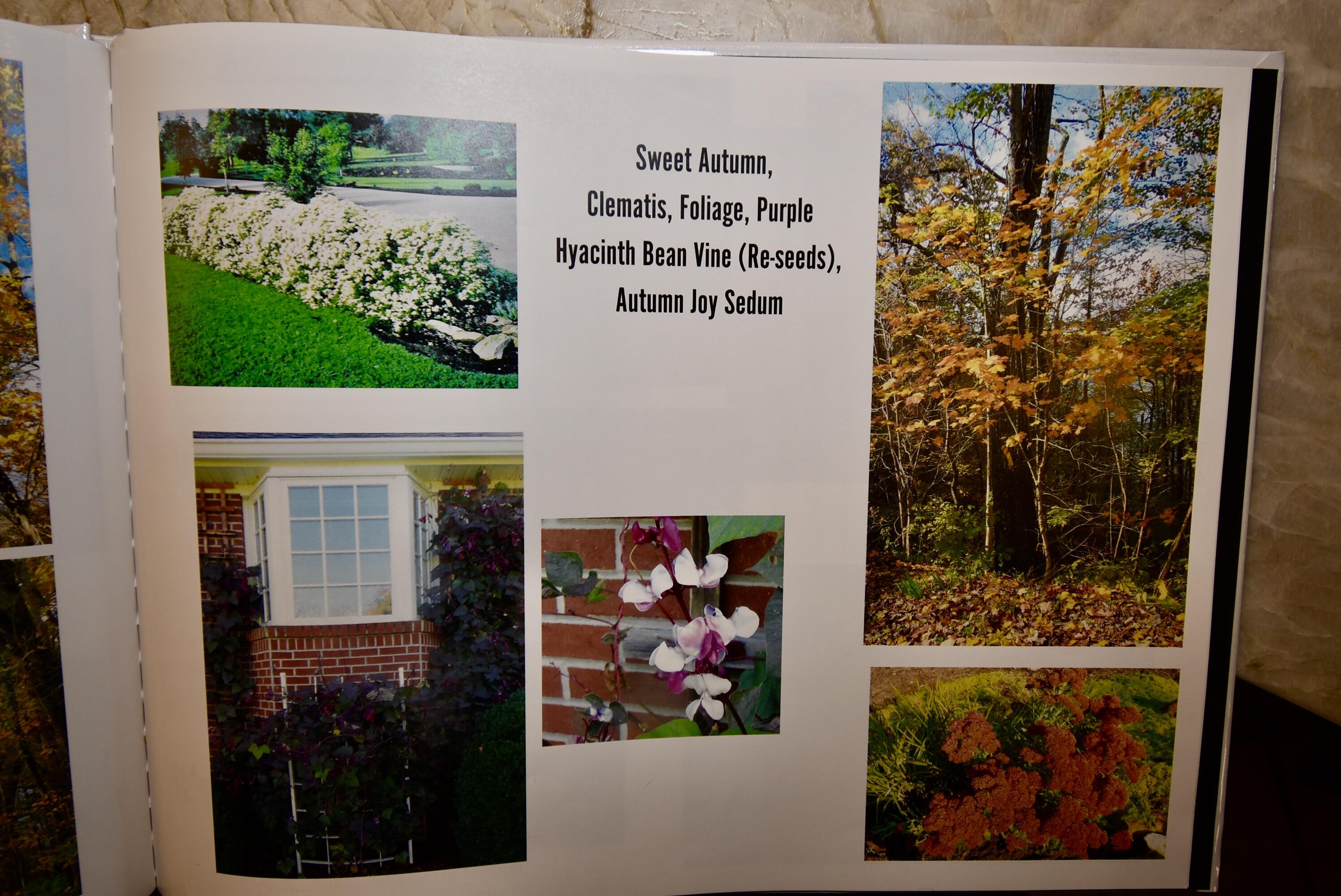 216 Buddy Tarter Road Somerset, KY 42503 - Photo 178 of 180 E694597D-8B7D-4666-8D2C-A3920743695D_1_2