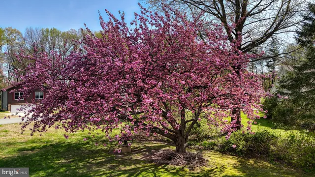 a view of entryway with outdoor area