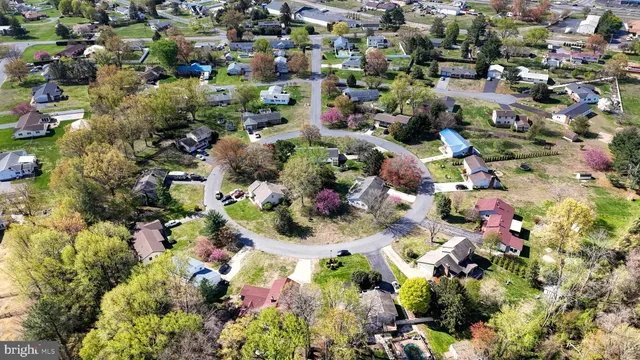a view of a yard in front of a brick house with a large tree