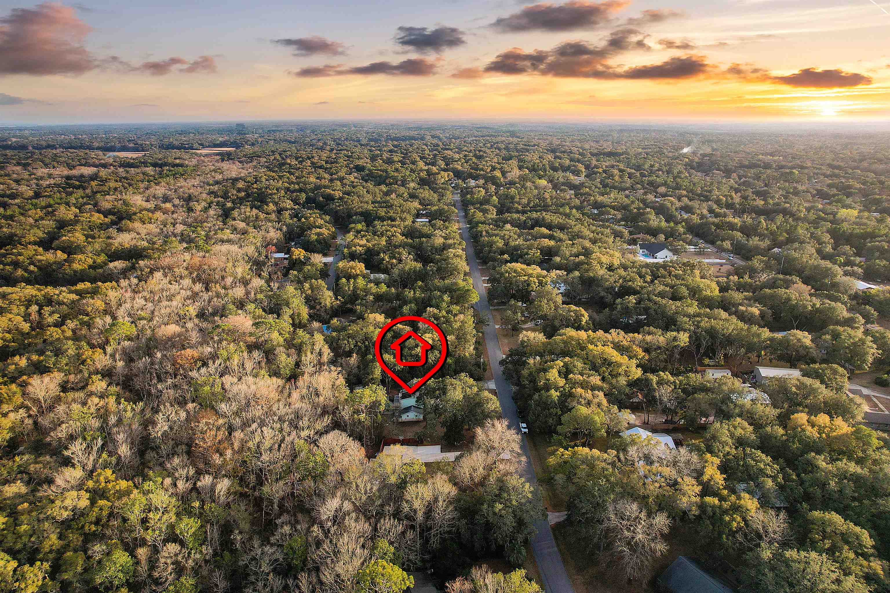 3020 Mac Road St. Augustine, FL 32086 - Photo 49 of 49 Aerial view at dusk of a forest view