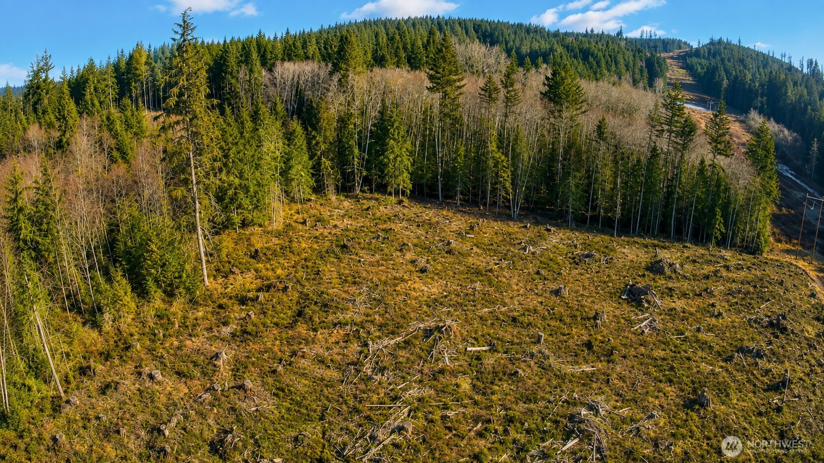 0 B-1000 Road Sequim, WA 98382 - Photo 3 of 8 Gallery Image 3