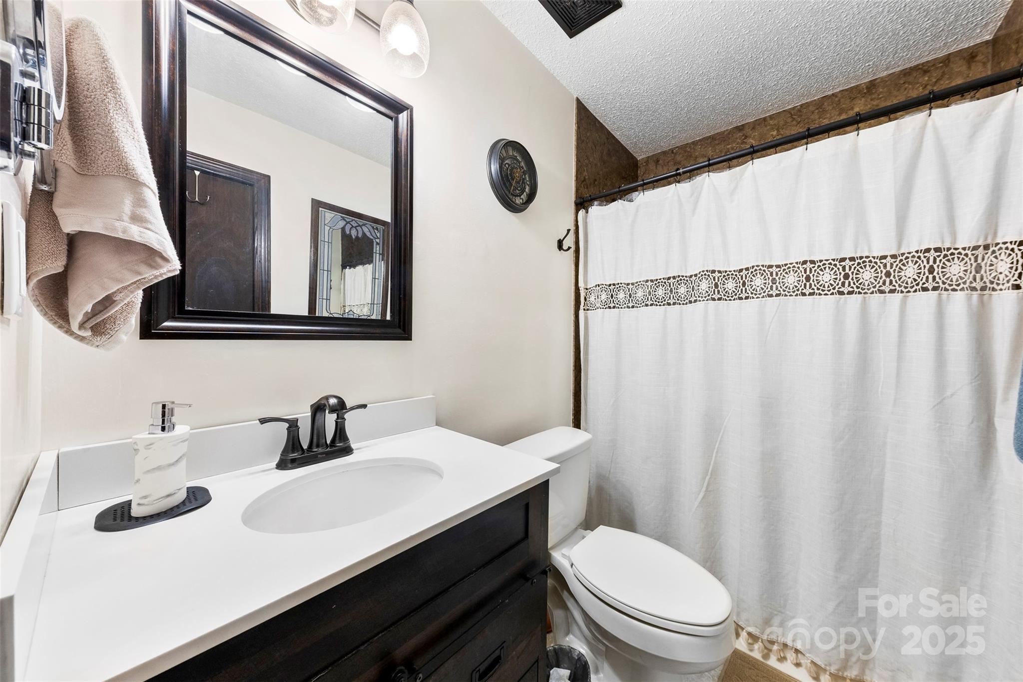 111 Hicks Road, Unit 9 Grover, NC 28073 - Photo 16 of 29 a bathroom with a sink a toilet and mirror