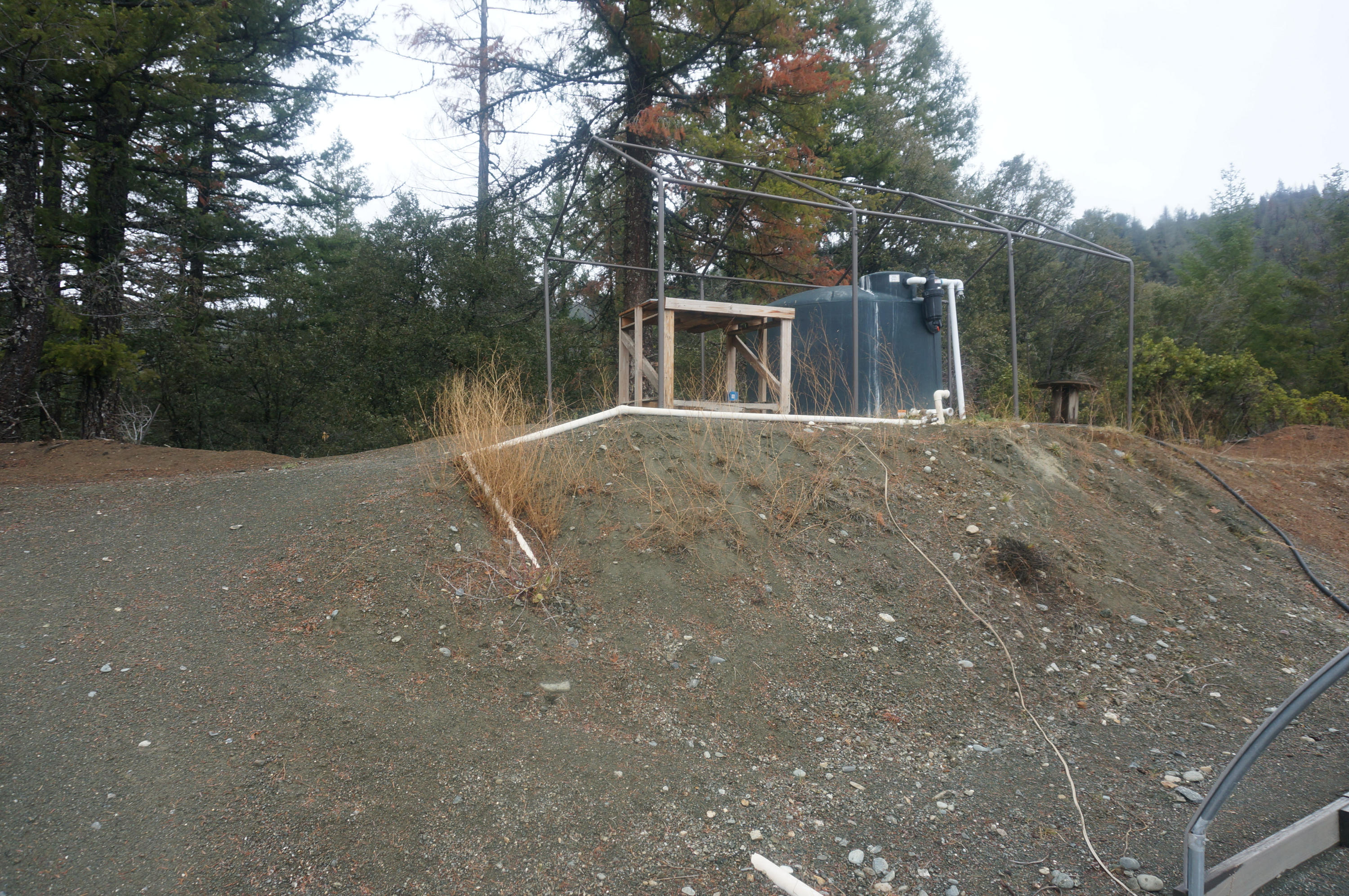 73.75 Acres On Mule Gulch Road Lewiston, CA 96052 - Photo 6 of 12 Gallery Image 6