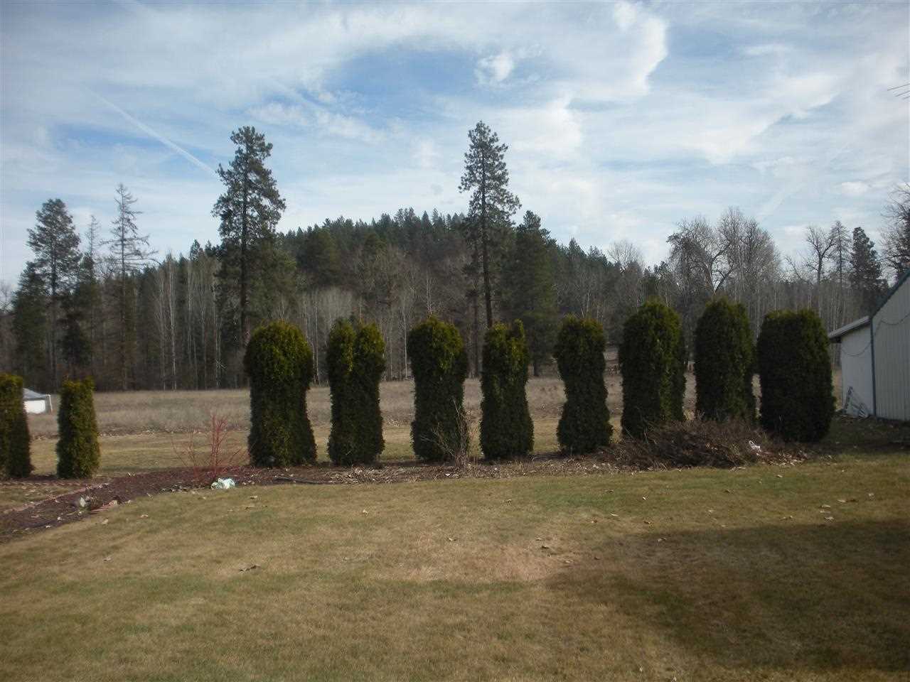 18914 North Yale Road Colbert, WA 99005 - Photo 6 of 17