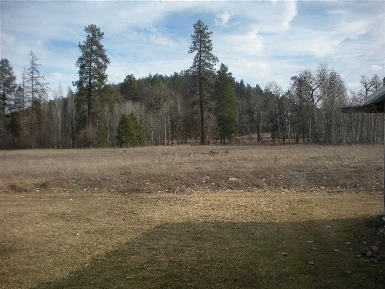 18914 North Yale Road Colbert, WA 99005 - Photo 10 of 17
